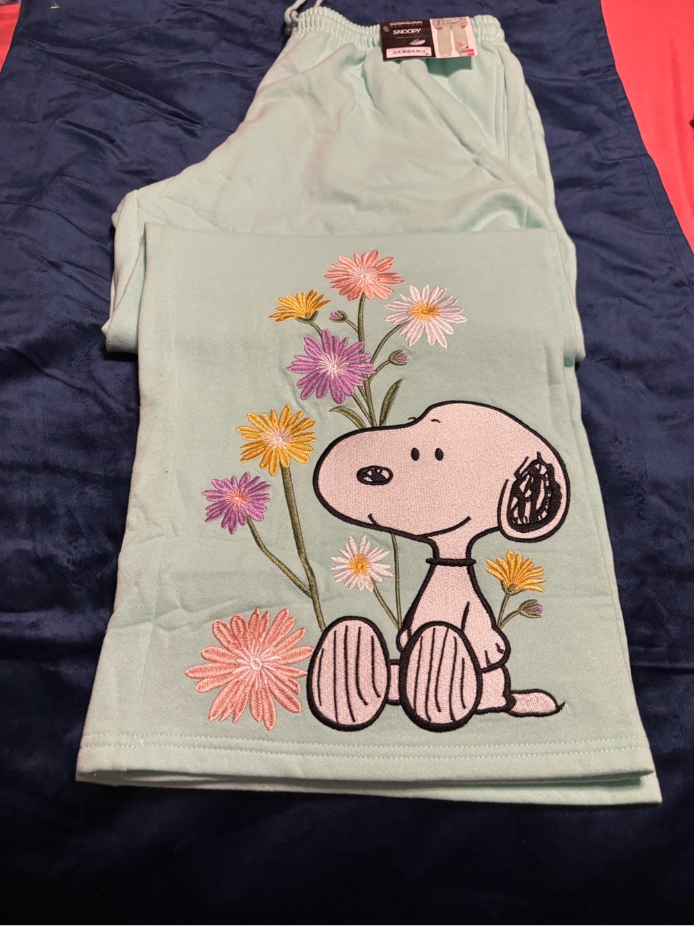Snoopy Peanuts Freeze New York Sweatpants XXL Floral Embroidered NWT